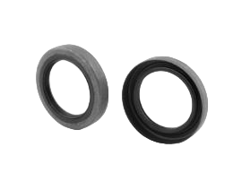 FP Modena1.jpg FP Modena1.jpg