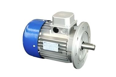 TVT America3.jpg TVT America3.jpg