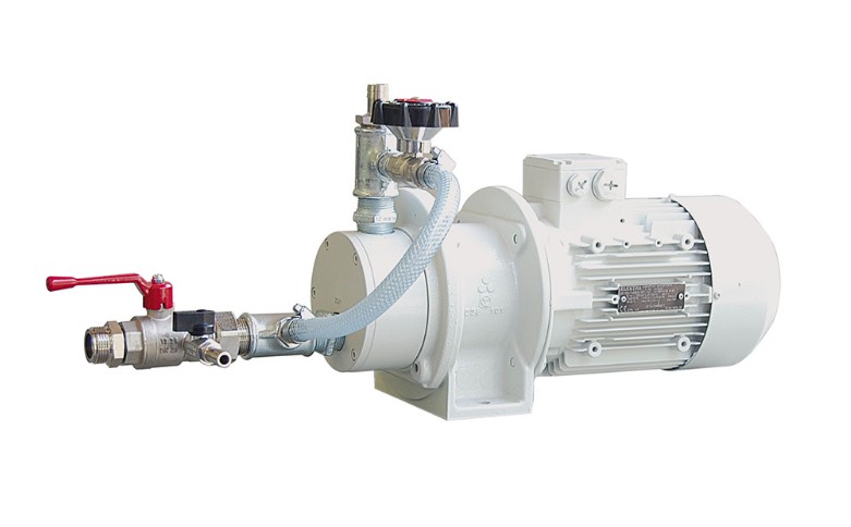 Wuerschum1.jpg Wuerschum1.jpg