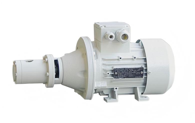 Wuerschum4.jpg Wuerschum4.jpg