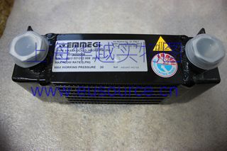 EMMEGI