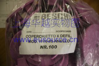 BESCHI
