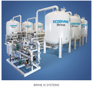 ECODYNE