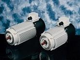 TEM ELECTRIC MOTORS