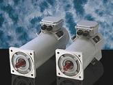 TEM ELECTRIC MOTORS