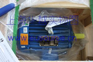 ELEKTRIM MOTORS