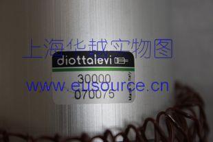 DIOTTALEVI