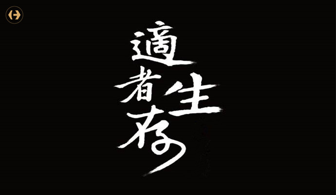 产业互联网来势汹汹，传统贸易公司该如何应对？