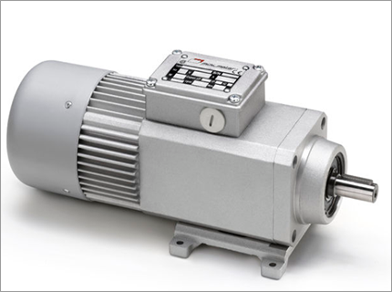 Mini Motor Mini Motor