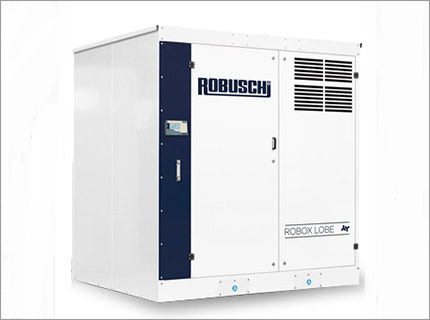 ROBUSCHI