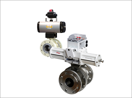 FLOWSERVE VALTEK