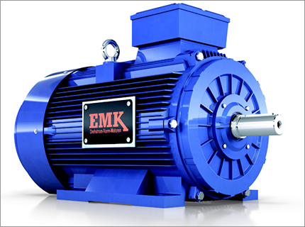 EMK motor