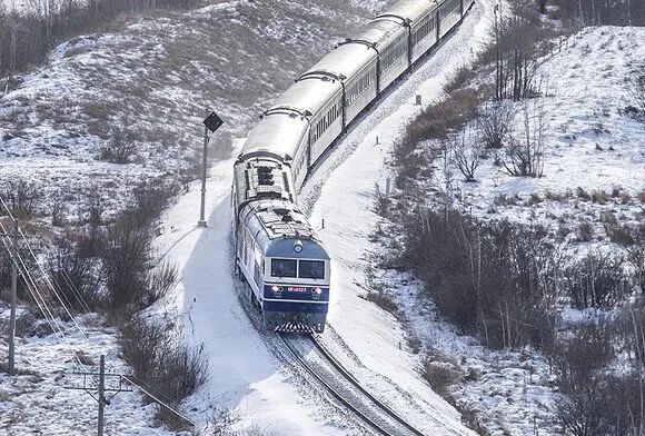 ELSO ELBE