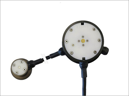 Observator