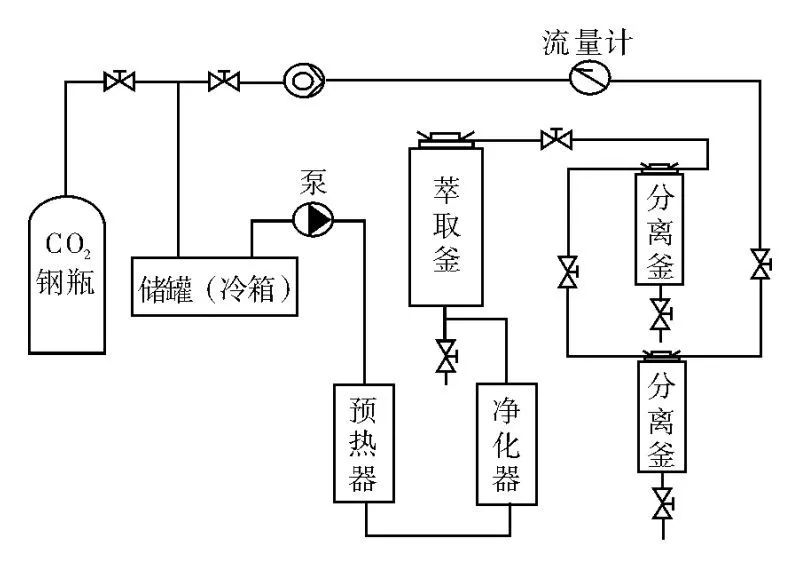 Separator-16.jpg