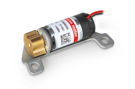 Maxon Motor