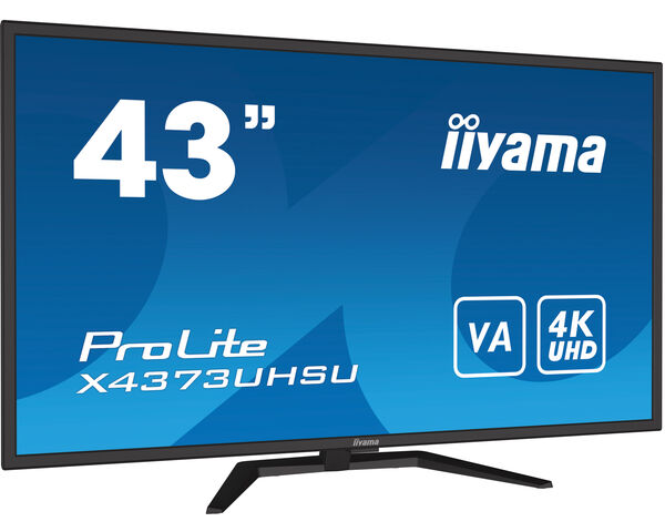 iiyama1.jpg