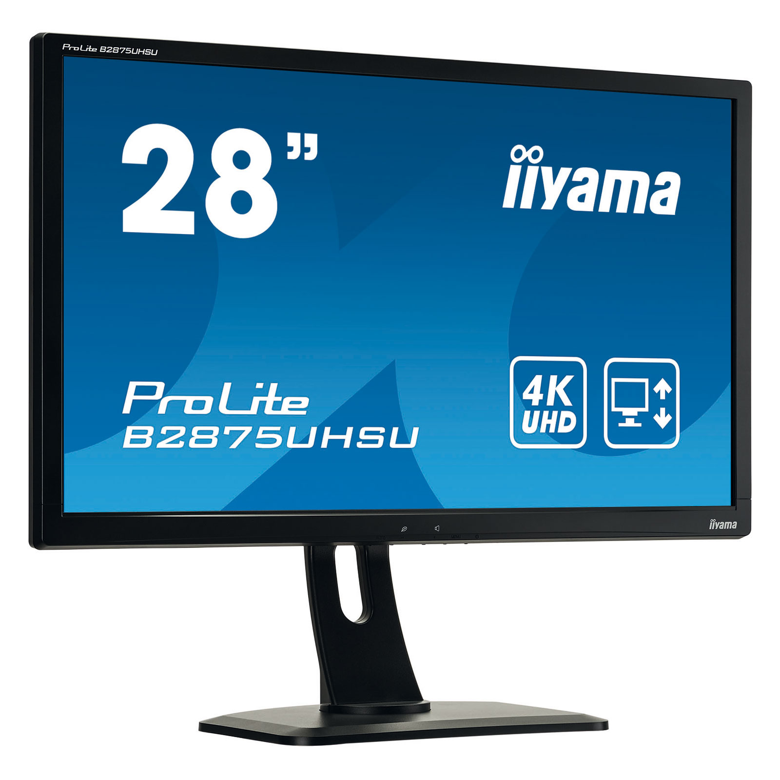 iiyama3.jpg