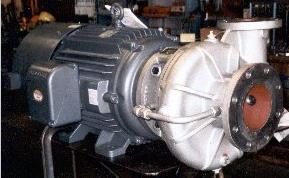 John Lisee Pumps1.jpg