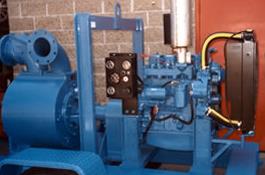 John Lisee Pumps2.jpg