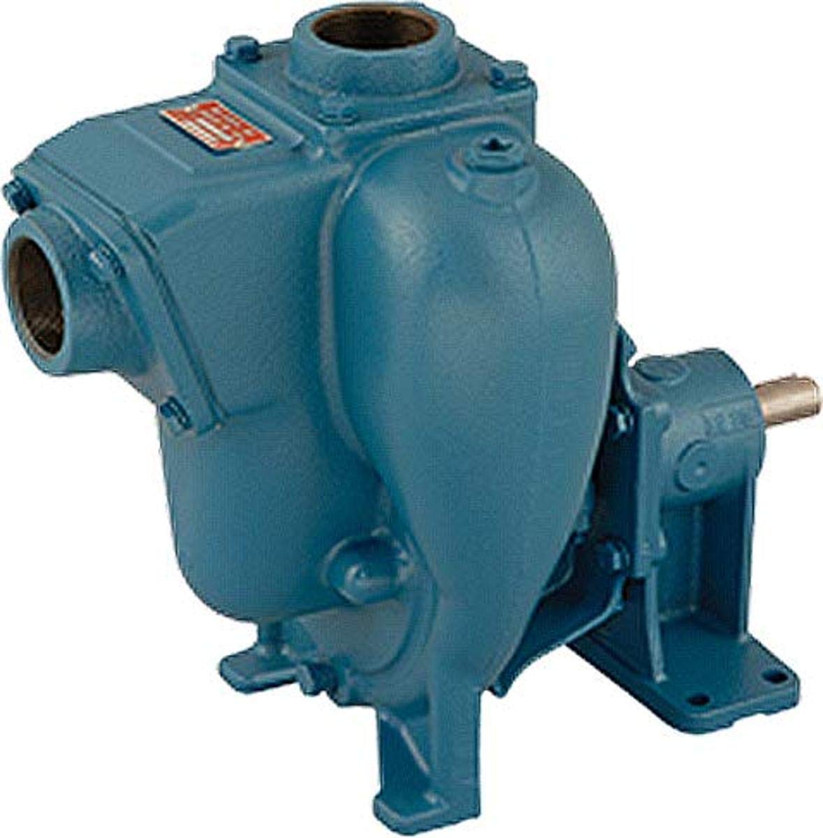 MP PUMPS1.jpg