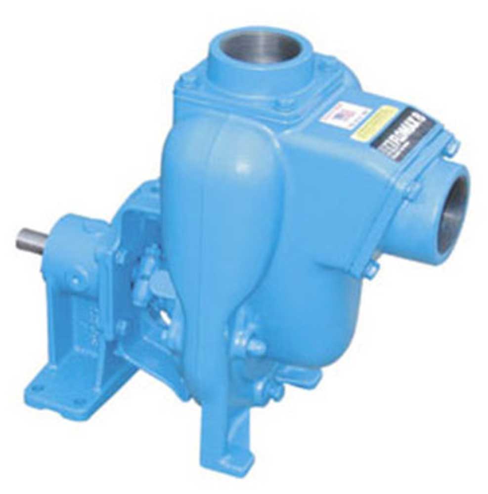 MP PUMPS2.jpg