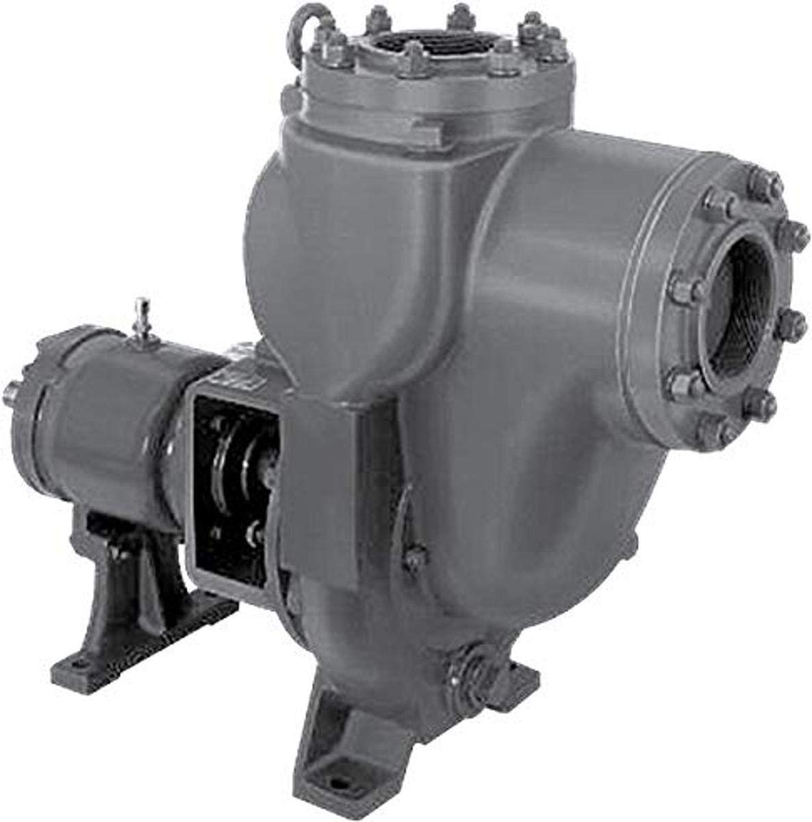 MP PUMPS3.jpg