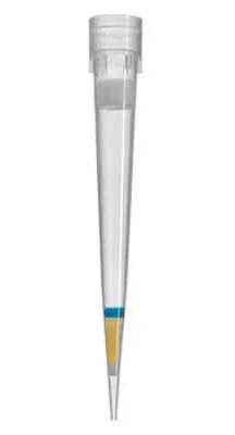 DPX Technologies3.jpg