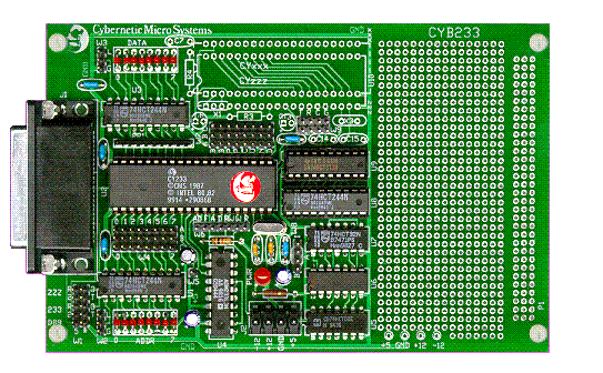 Cybernetic Micro Systems1.gif