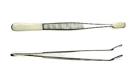 Clinical and Derm2.jpg