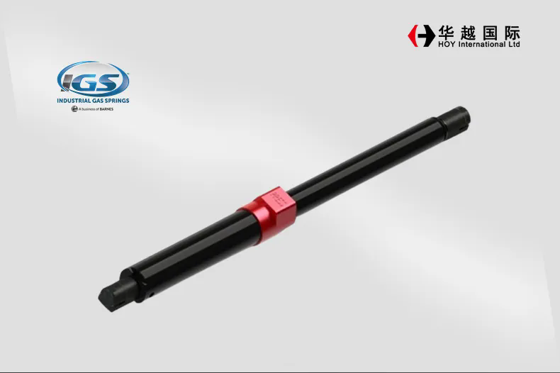 640.webp (11).png
