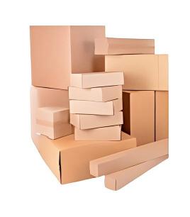 Coral Packaging2.jpg