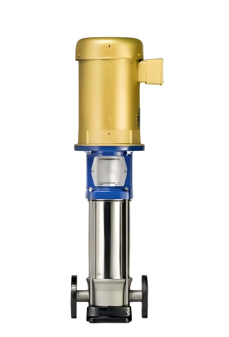 DP-Pumps3.jpg DP-Pumps3.jpg