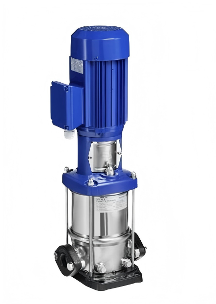 DP-Pumps4.jpg DP-Pumps4.jpg