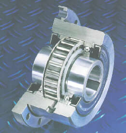 Ringspann2.jpg Ringspann2.jpg