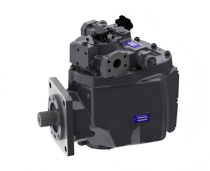 SAUER BIBUS1.jpg