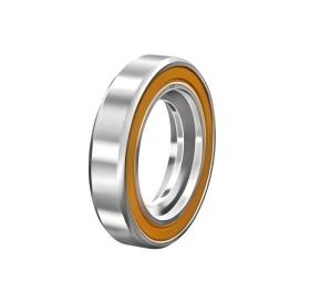 WIB Bearing4.jpg